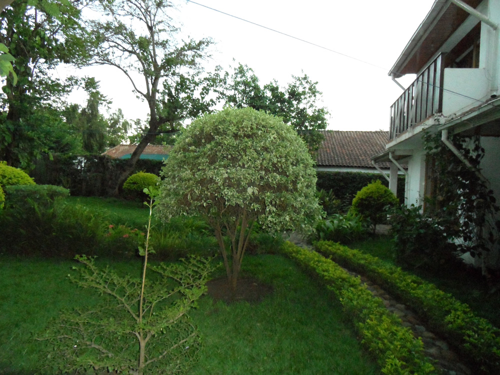 1km From Njiro Complex 1km From Njiro Complex