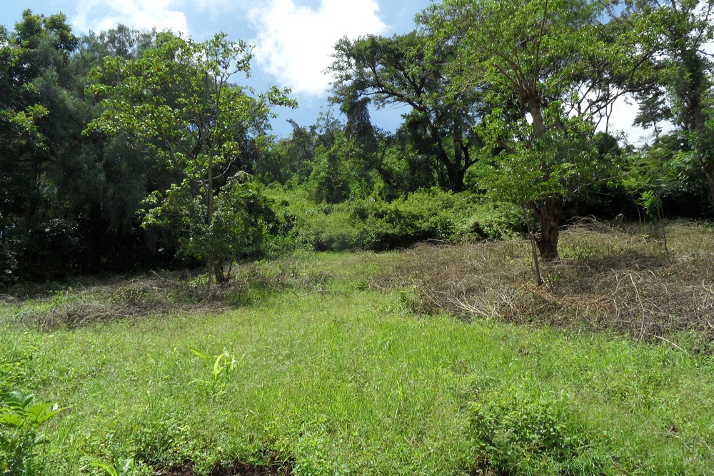 4acres next to Machweo House 4acres next to Machweo House