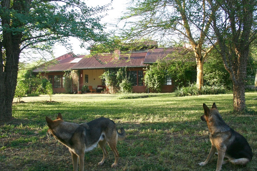 House & land for rent Kisongo. House & land for rent Kisongo.