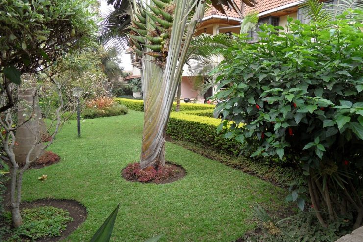 Spacious 2-Bedroom Apartment for Rent – AGM Estate, Arusha