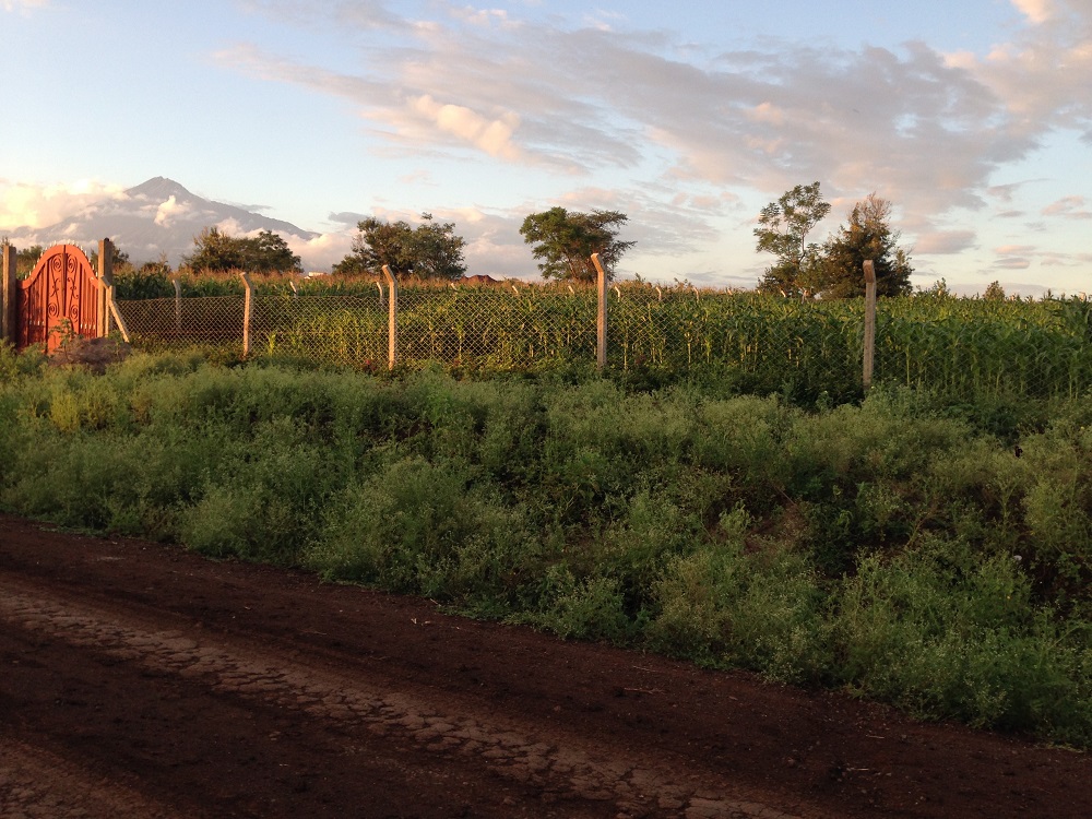 Plot for Sale Njiro Arusha Awesome Homes & Properties