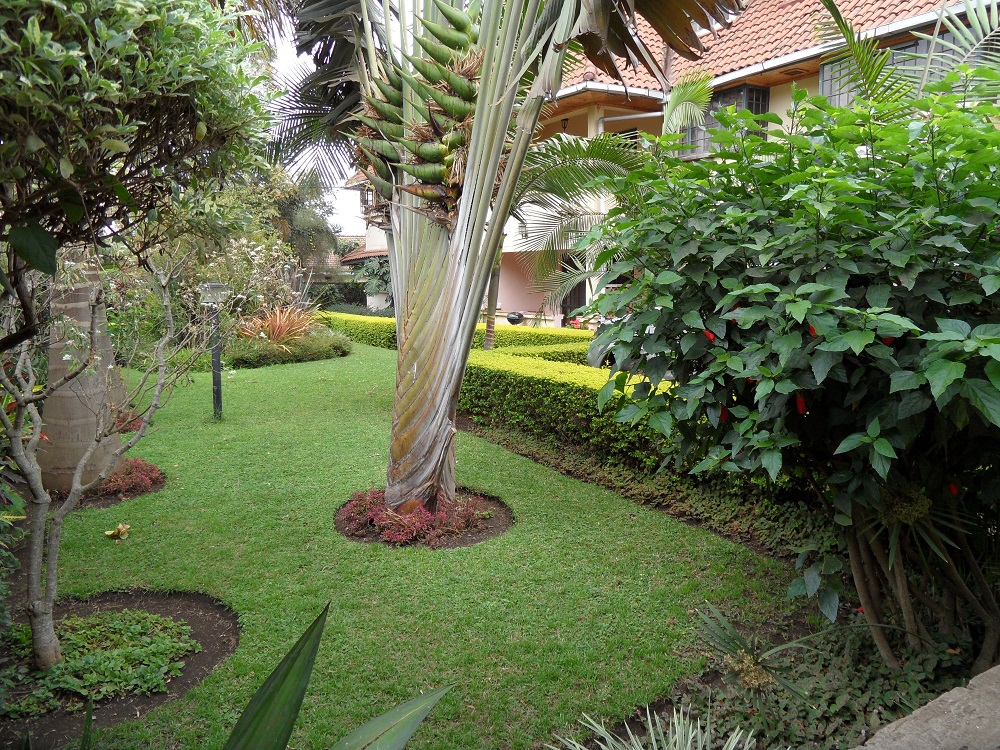 3 Bedroom Apartment next to PPF Olorien 3 Bedroom Apartment next to PPF Olorien