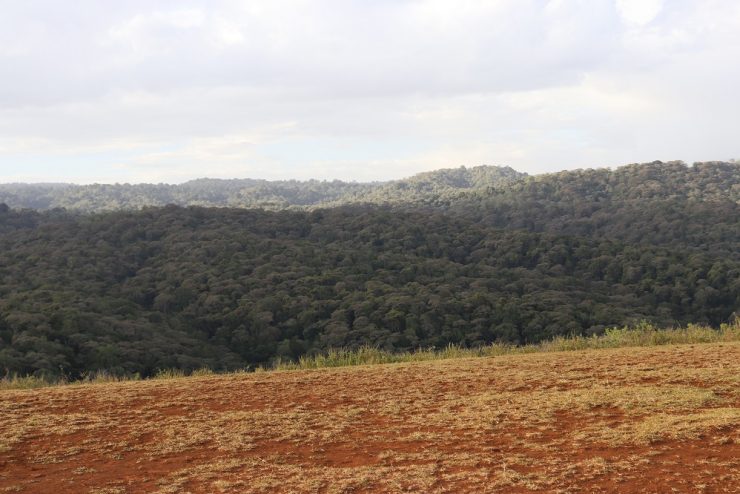 Lodge For Sale Karatu