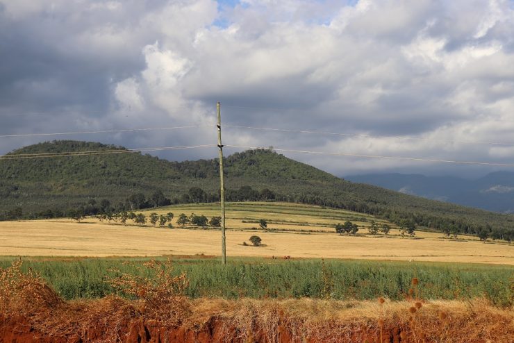 1,000 Acre Farm for sale along the slopes of Mt Kilimanjaro.