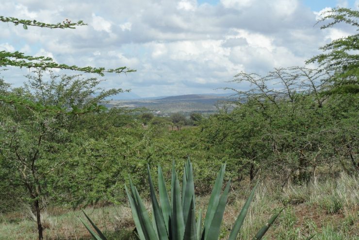5 Acres for Sale – Kisongo Area, Near A Z Factory