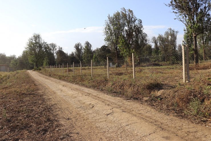 1Acre Plot for Sale at Burka Behind Coffee Lodge