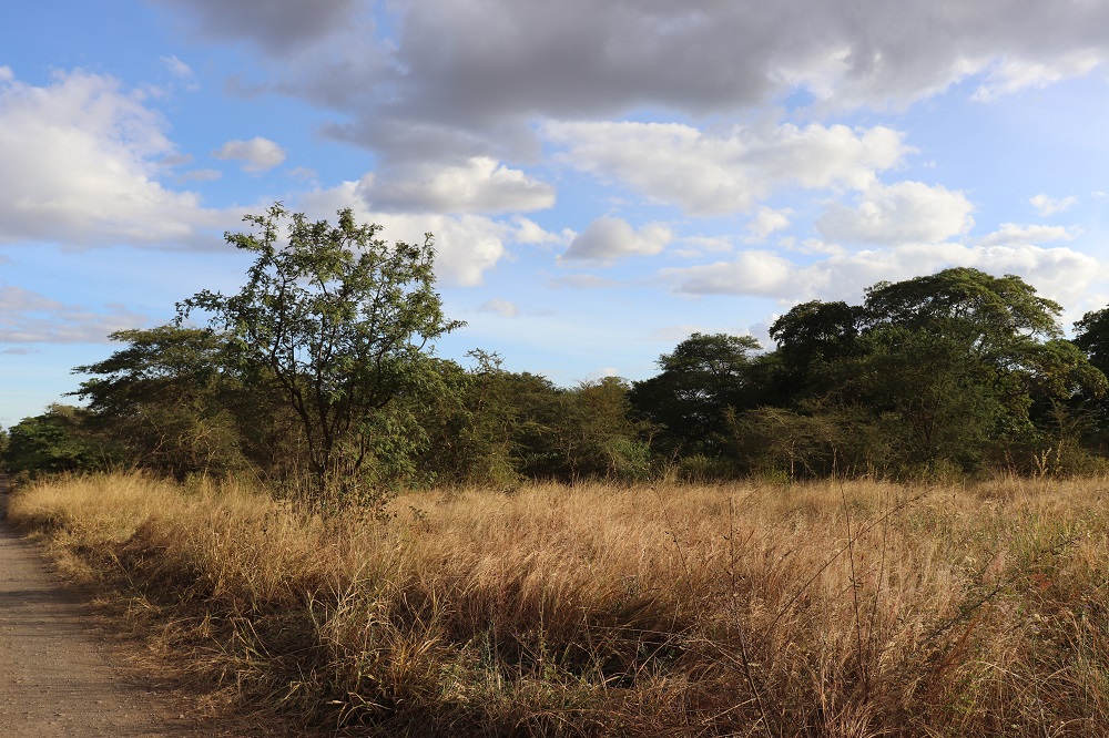 1 Acre Plot For Sale at Emanyata Estate. 1 Acre Plot For Sale at Emanyata Estate.