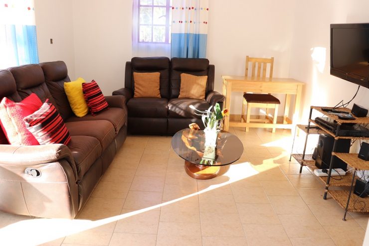 Beautiful 1 Bedroom furnished  apartment near Kibo Palace
