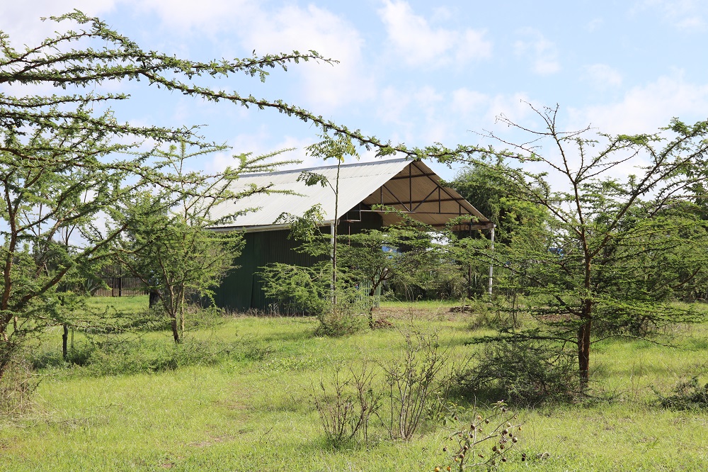 9 Acre Plot Kisongo