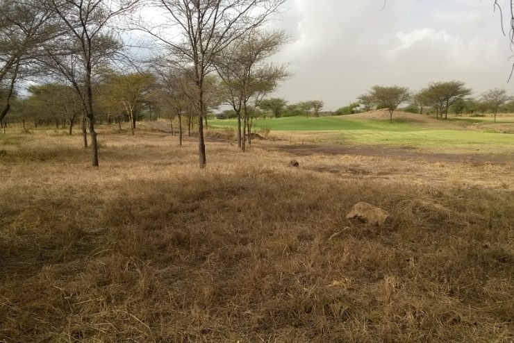 Spectacular Fairway Plot for Sale at Kiligolf, Usa River