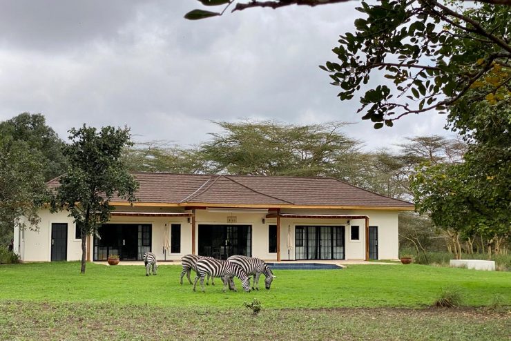 2 Bedroom Houses for Rent at Dolly Estate