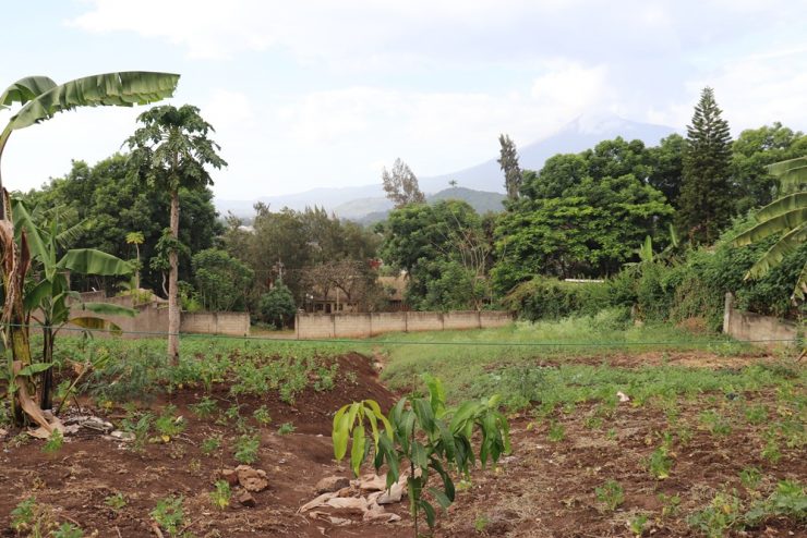 Plot for sale Block C Njiro ESAMI hill