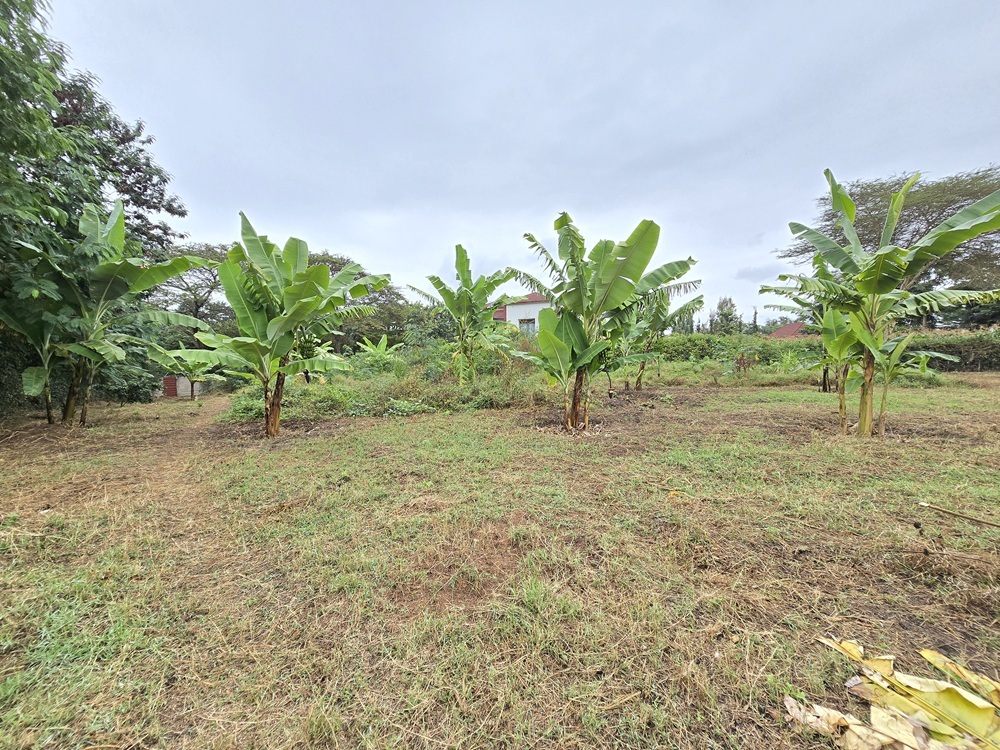 1-Acre Plot for Sale – Njiro Block J, Arusha 1-Acre Plot for Sale – Njiro Block J, Arusha