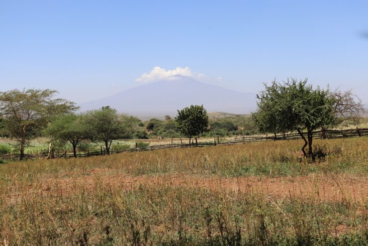 Farm in Kilimanjaro with Functional Infrastructure and Historic Charm