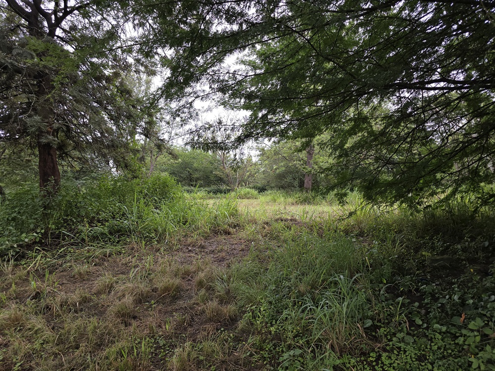 Premier Residential Estate for Sale – Usa River, Northern Tanzania Premier Residential Estate for Sale – Usa River, Northern Tanzania