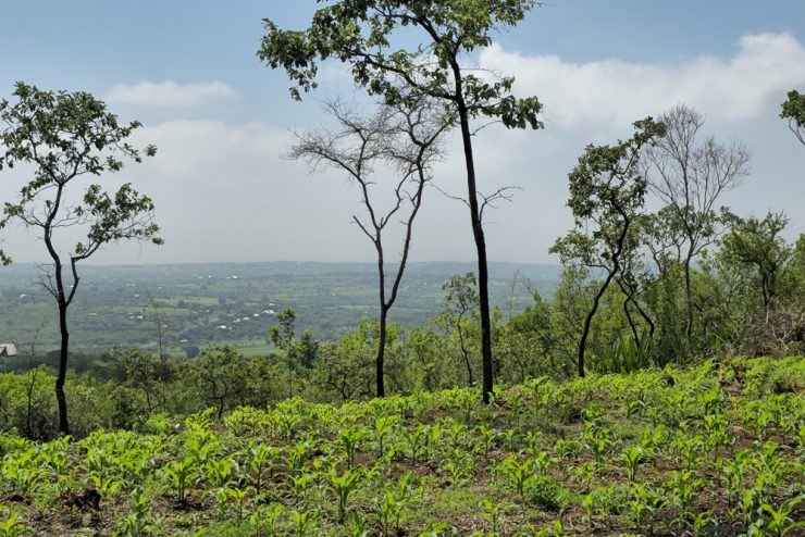 Prime 11-Acre Plot for Sale – Karatu (Near Main Road)