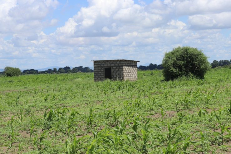 Prime 10-Acre Plot for Sale – Nduruma (Lucy Estate)