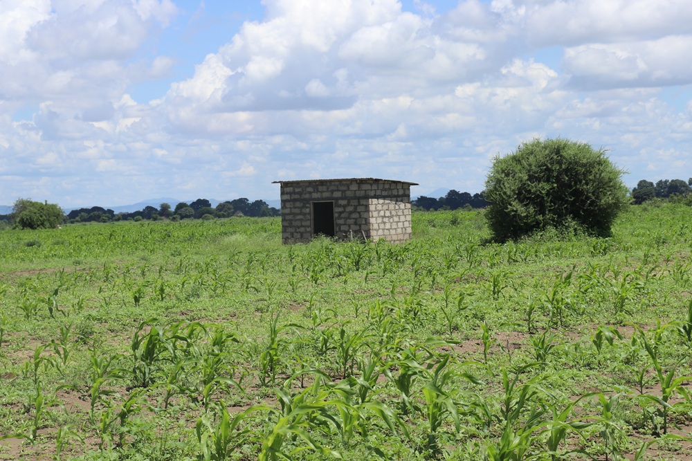 Prime 10-Acre Plot for Sale – Nduruma (Lucy Estate) Prime 10-Acre Plot for Sale – Nduruma (Lucy Estate)